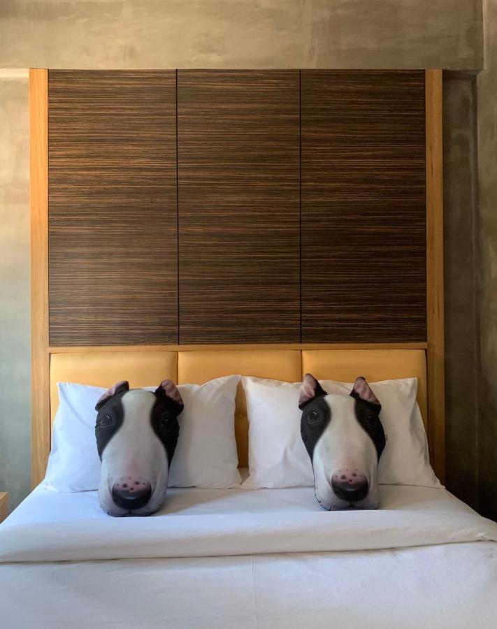 Pinghostel (Adults Only) Chiang Mai Dış mekan fotoğraf