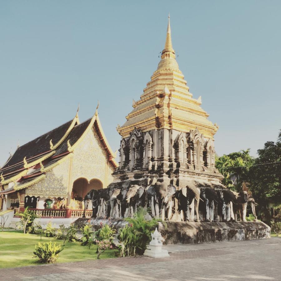 Pinghostel (Adults Only) Chiang Mai Dış mekan fotoğraf